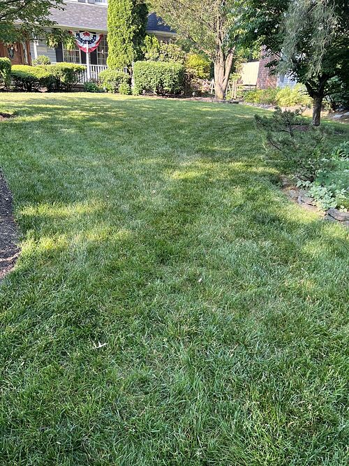 A lawn in Doylestown, PA