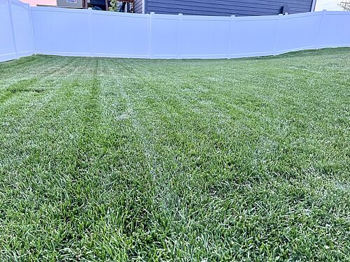 A lawn in Sioux Falls, SD