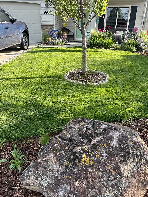 A lawn in Nampa, ID