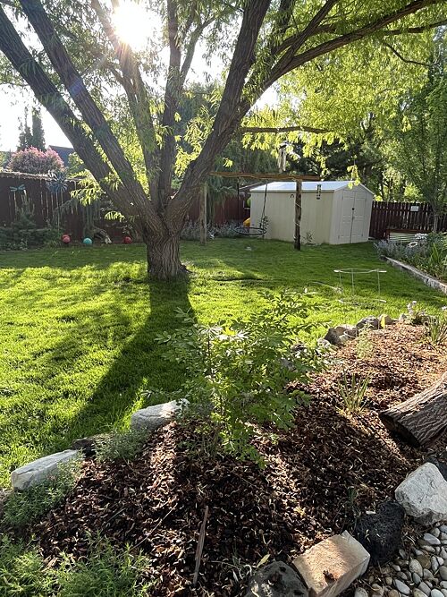 A lawn in Nampa, ID