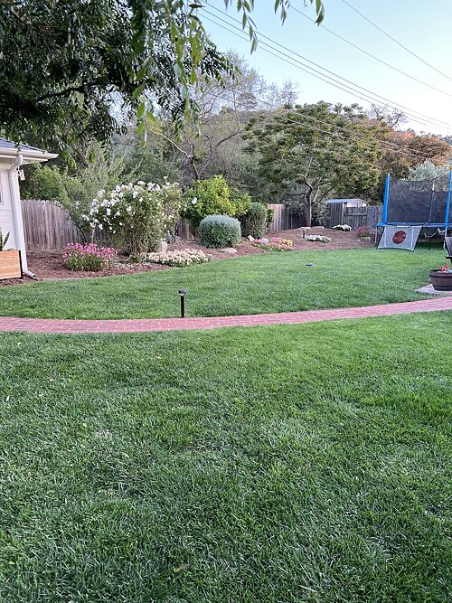 A lawn in Santa Barbara, CA