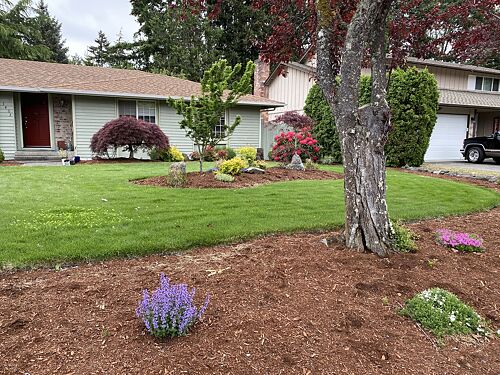 A lawn in Lakewood, WA