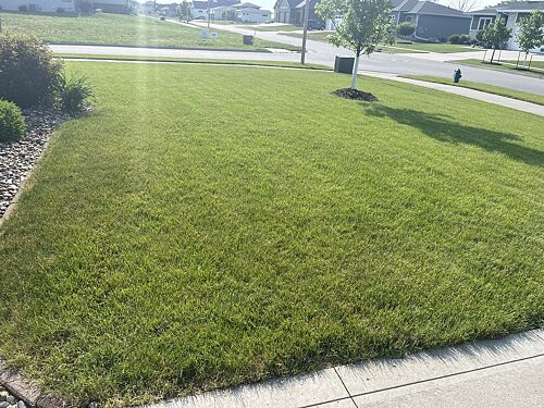 A lawn in Ames, IA
