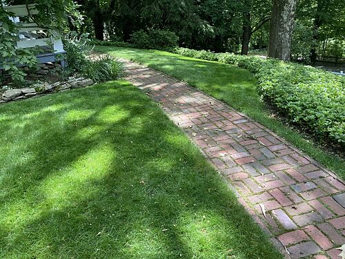 A lawn in Worcester, MA