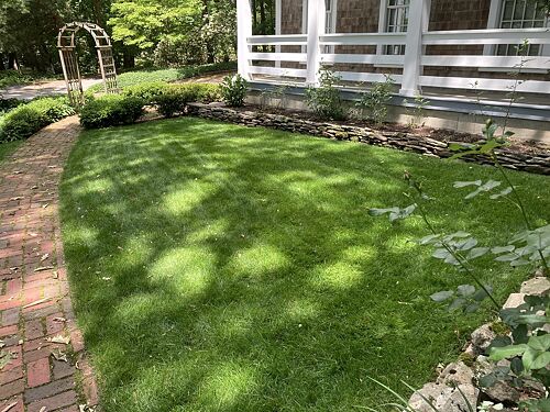 A lawn in Worcester, MA