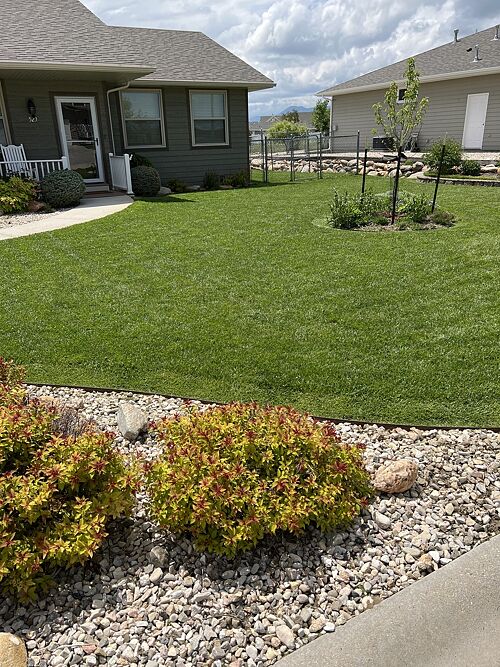 A lawn in WY