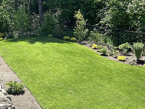 A lawn in Portland, OR