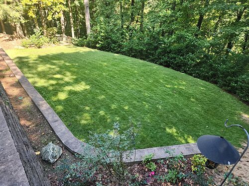 A lawn in Buckhead, GA