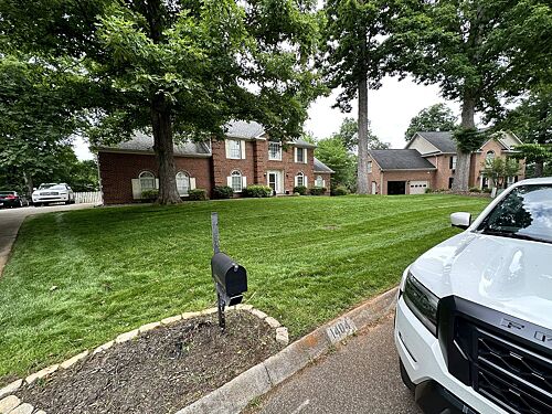 A lawn in Knoxville, TN