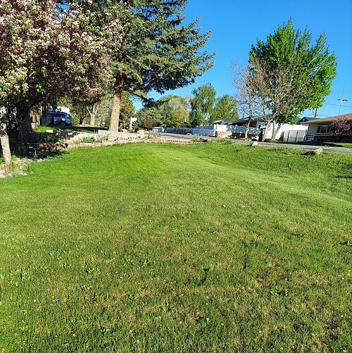 A lawn in Carson City, NV