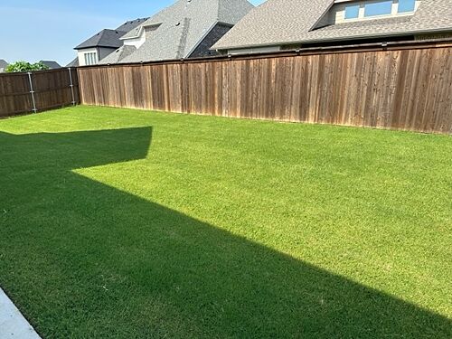A lawn in Frisco, TX
