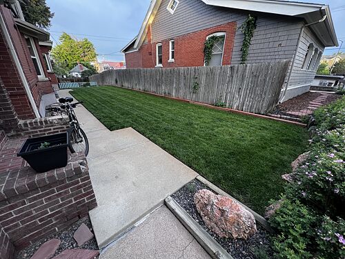 A lawn in Denver, CO