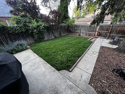 A lawn in Denver, CO