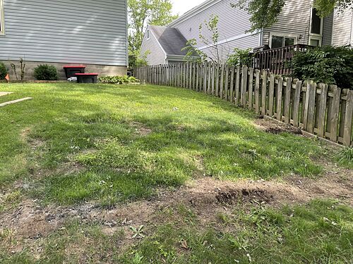 A lawn in Columbus, OH