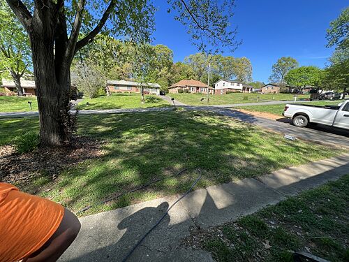A lawn in Charlotte, NC