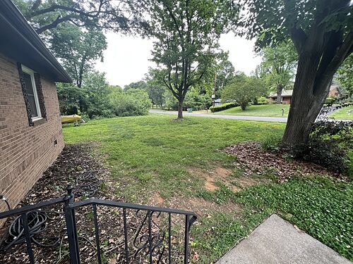 A lawn in Charlotte, NC