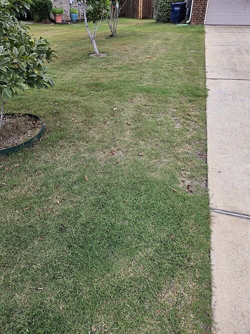 A lawn in Alabaster, AL