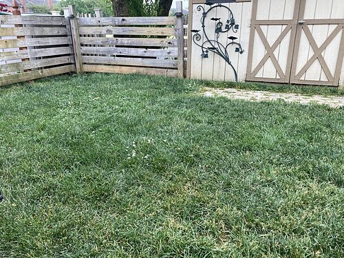 A lawn in Whitehall, PA