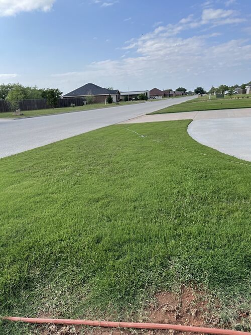 A lawn in Abilene, TX