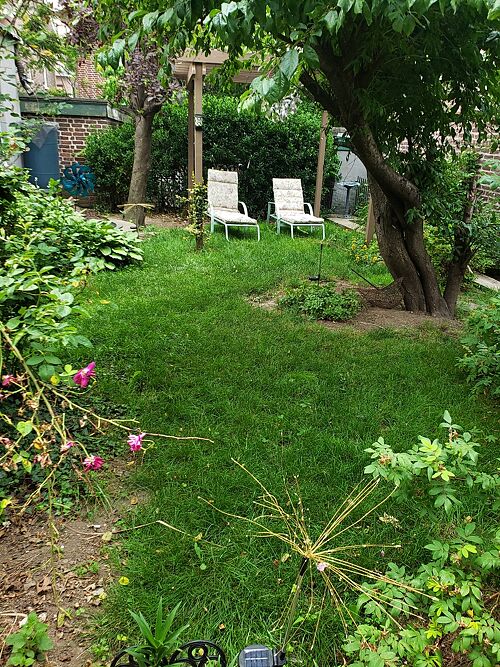 A lawn in Bronx, NY