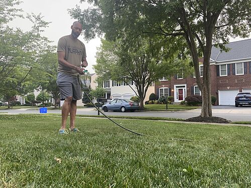A lawn in Boyds, MD