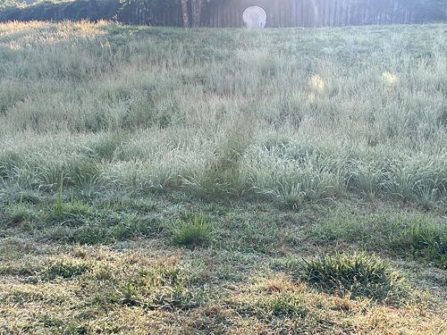 A lawn in Concord, NC
