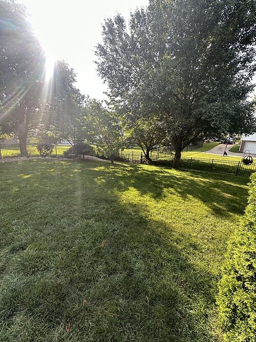 A lawn in Louisville, KY