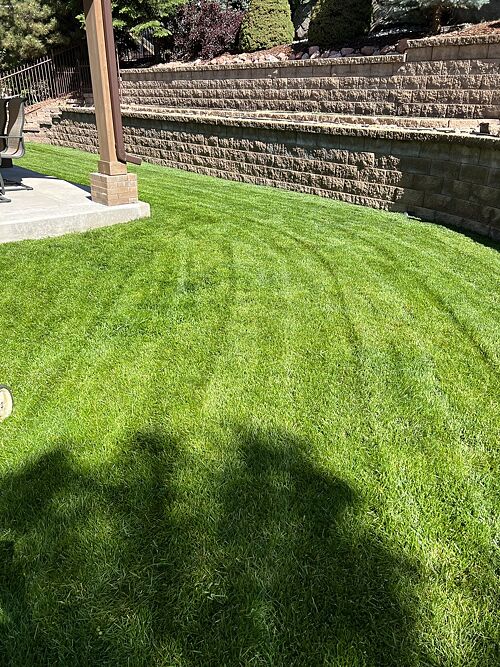 A lawn in Aurora, CO