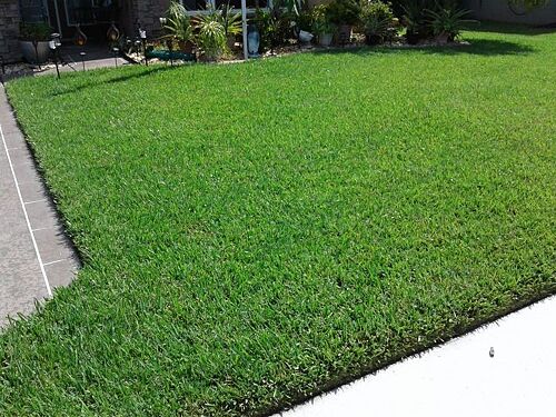 A lawn in Parrish, FL
