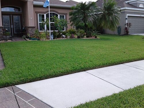A lawn in Parrish, FL