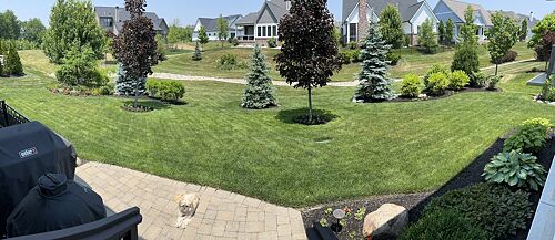A lawn in Carmel, IN