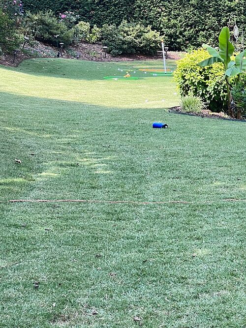 A lawn in Johns Creek, GA