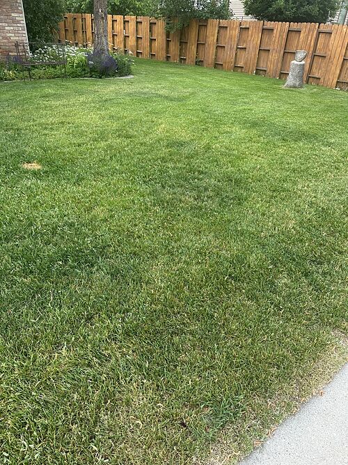 A lawn in Provo, UT