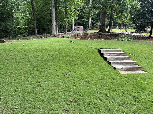 A lawn in Atlanta, GA