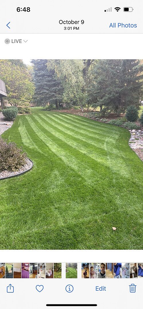 A lawn in Plymouth, MN