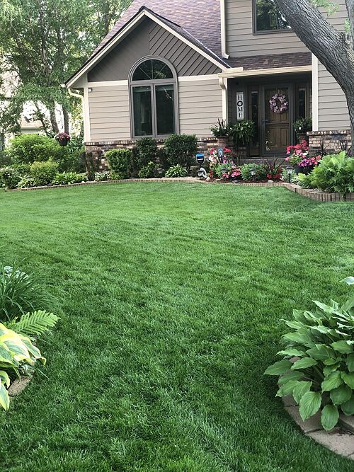 A lawn in Burnsville, MN