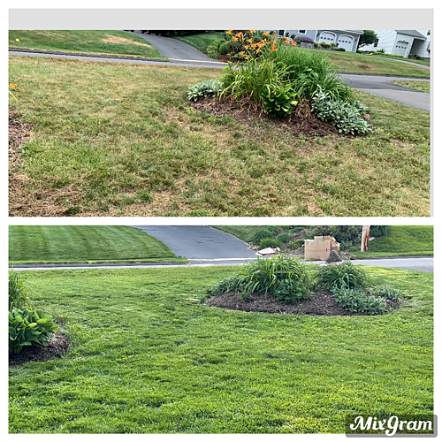 A lawn in West Hartford, CT