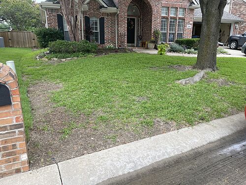 A lawn in McKinney, TX