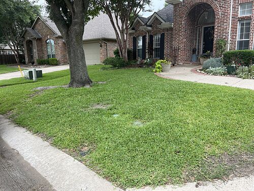 A lawn in McKinney, TX