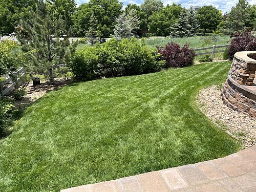 A lawn in Highlands Ranch, CO