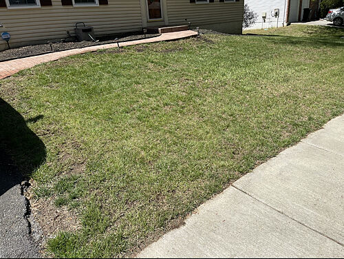 A lawn in Bowie, MD