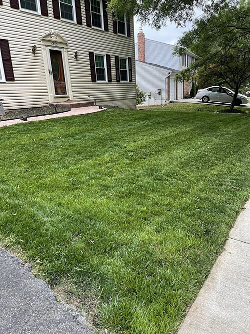 A lawn in Bowie, MD