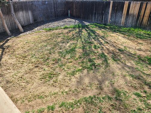 A lawn in Broomfield, CO
