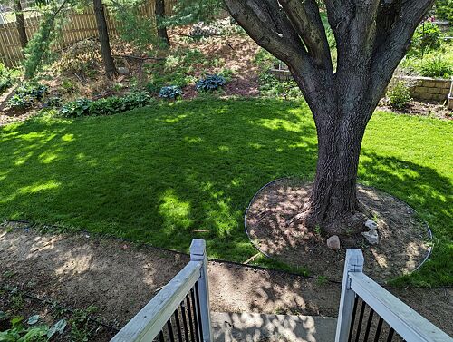 A lawn in Lincoln, NE