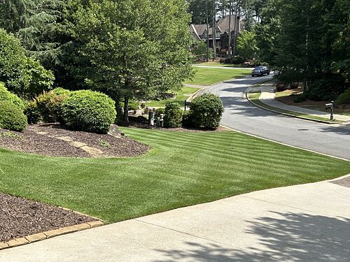 A lawn in Suwanee, GA