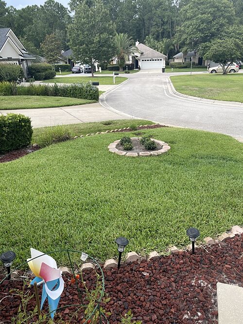 A lawn in Jacksonville, FL