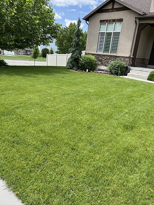 A lawn in Pleasant View, UT