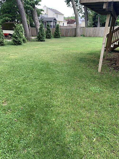 A lawn in South Bend, IN