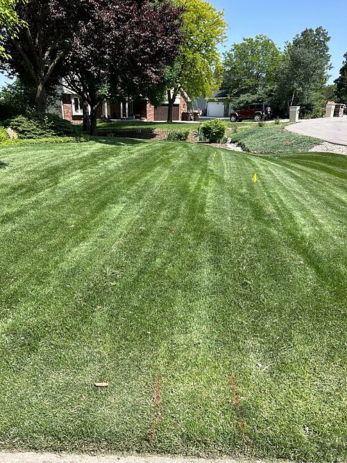 A lawn in Fort Collins, CO