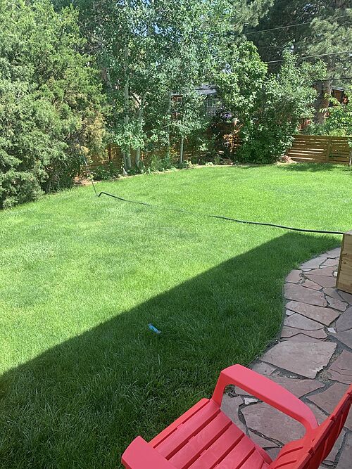 A lawn in Golden, CO